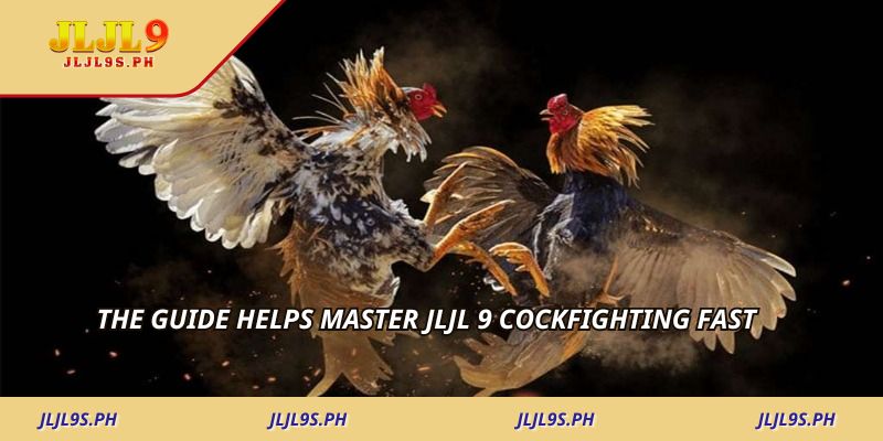 The guide helps master jljl 9 cockfighting fast