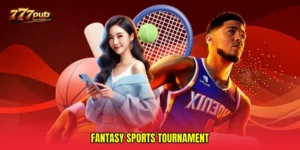 Fantasy sports tournament